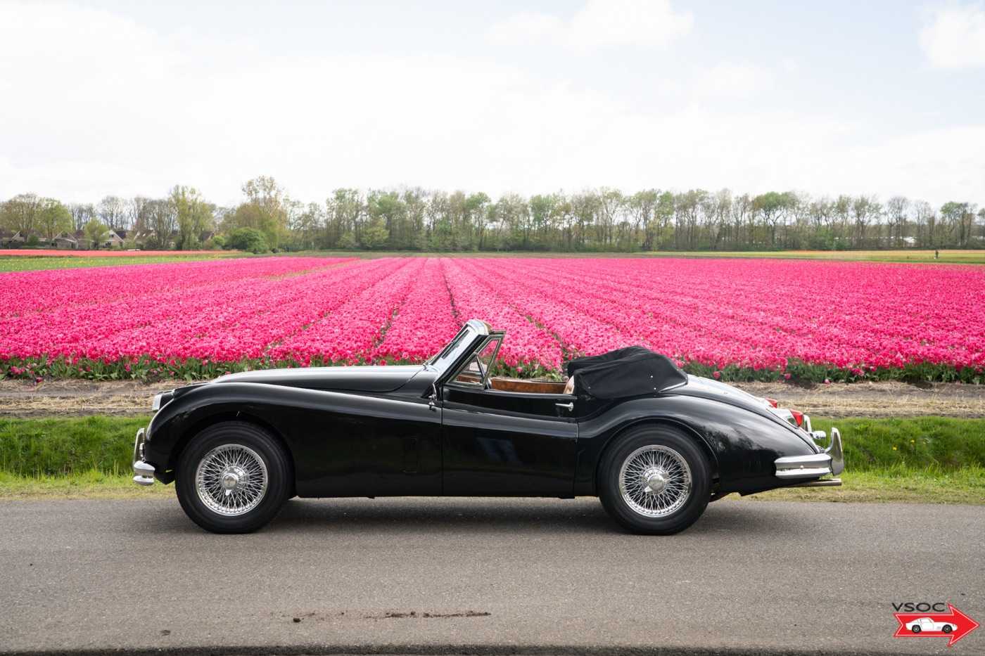 Jaguar Série - XK