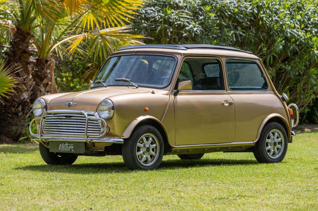 Mini Rover
