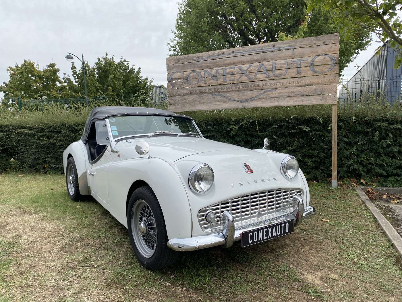 Triumph TR3