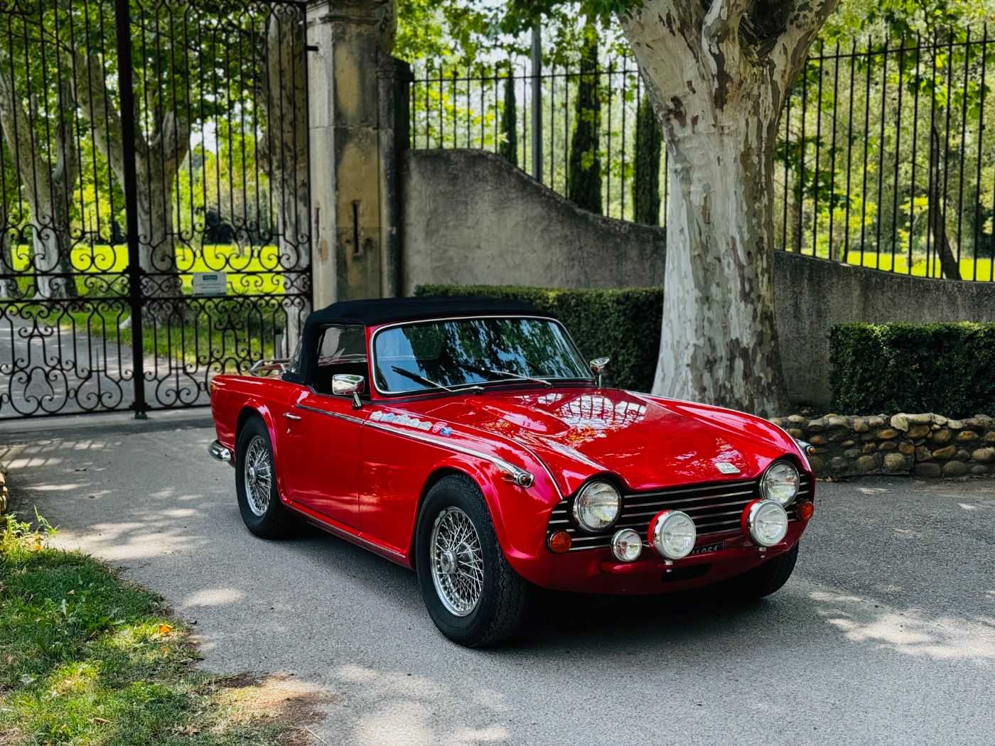 Triumph TR5