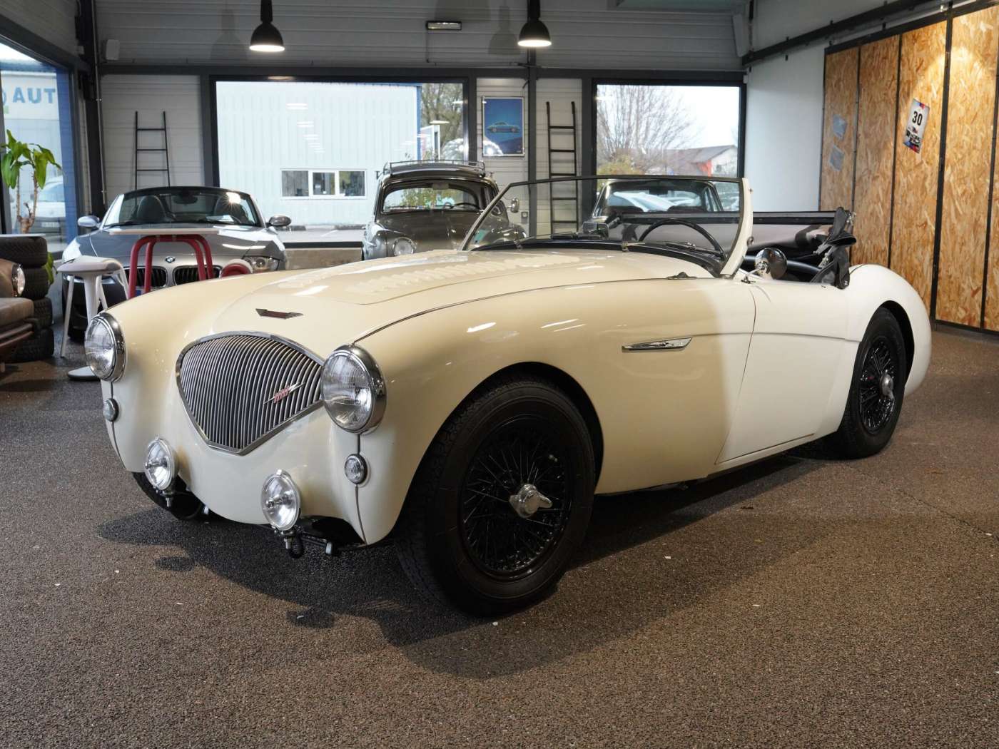 Austin Healey 100