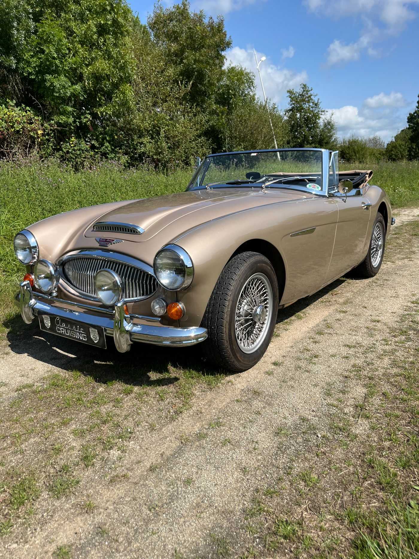 Austin Healey 3000