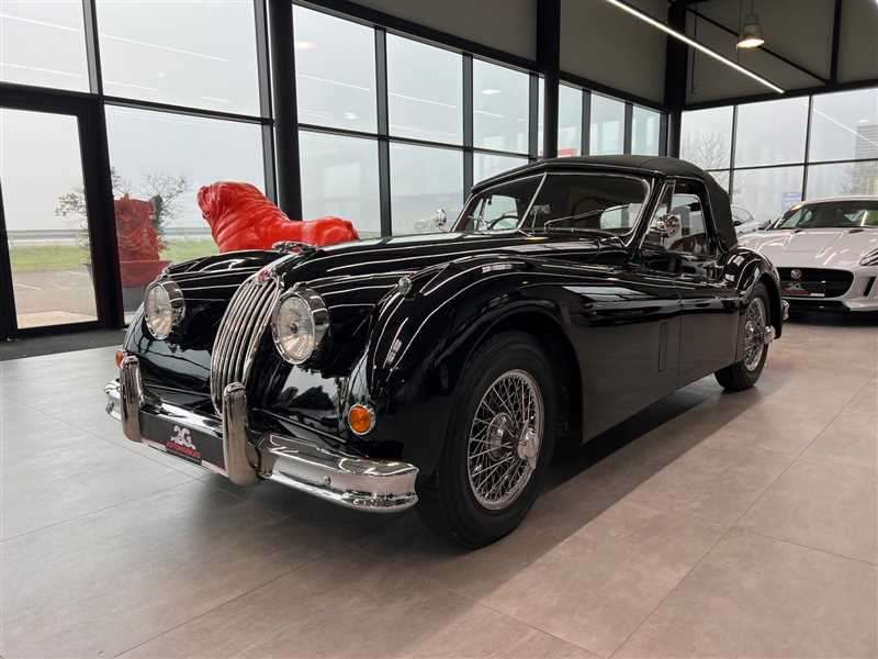 Jaguar Série - XK