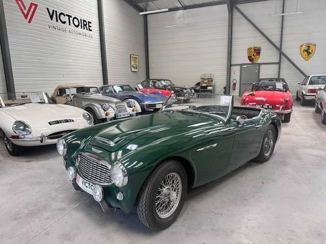 Austin Healey 100