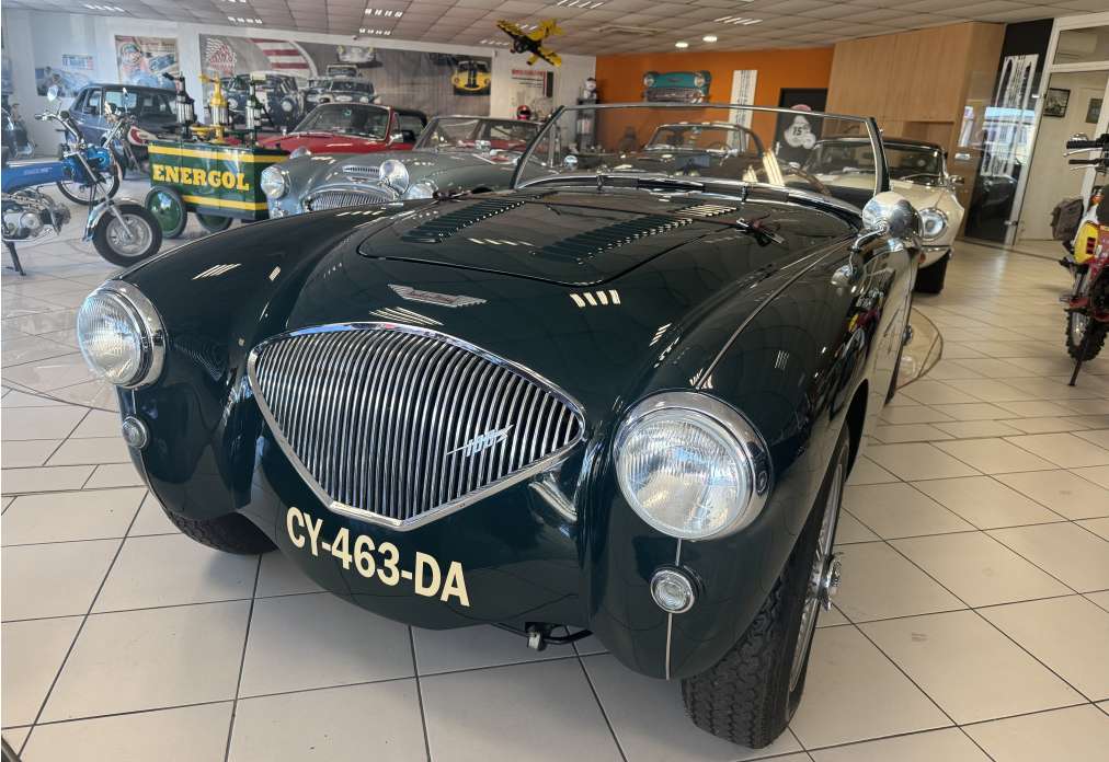 Austin Healey 100