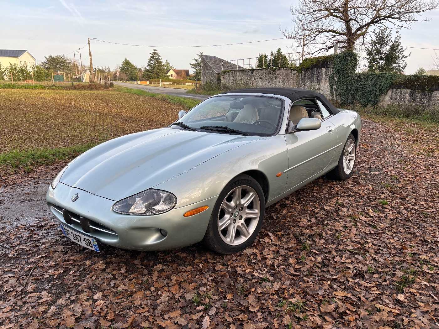 Jaguar XK8