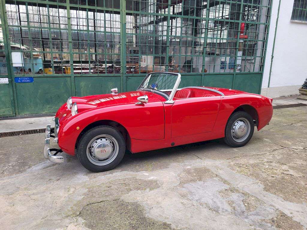 Austin Healey Sprite Frogeye