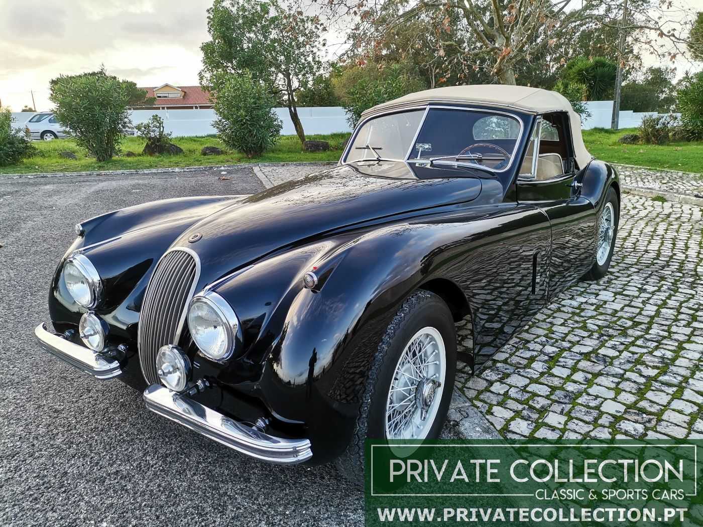 Jaguar Série - XK