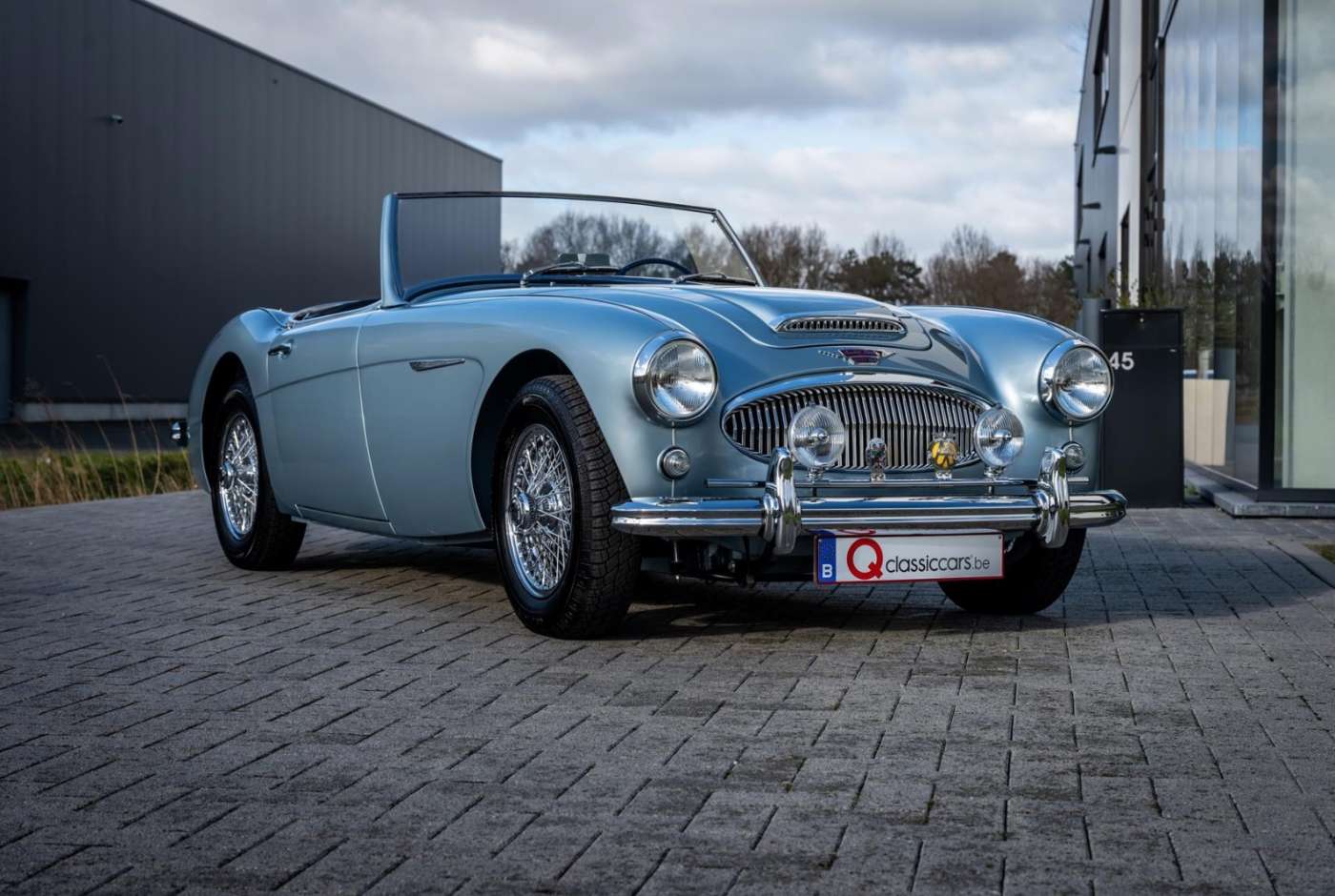 Austin Healey 3000