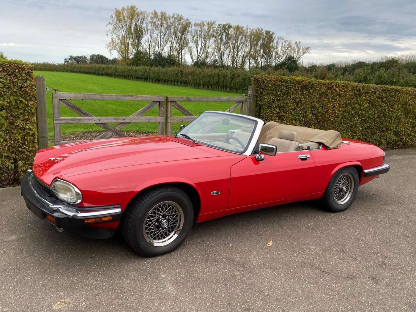 Jaguar XJS