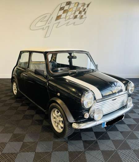 Mini 1000