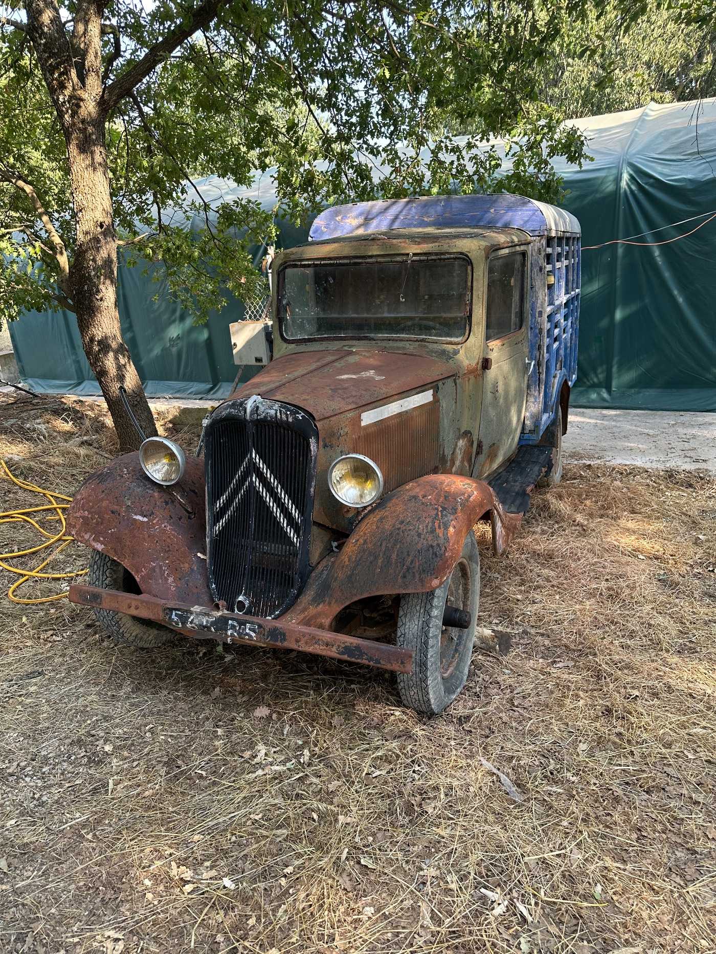 Citroen Rosalie