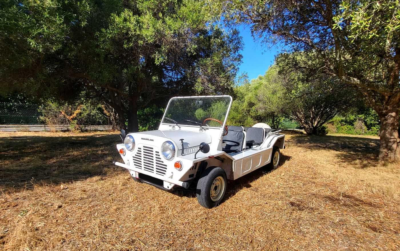 Austin Mini