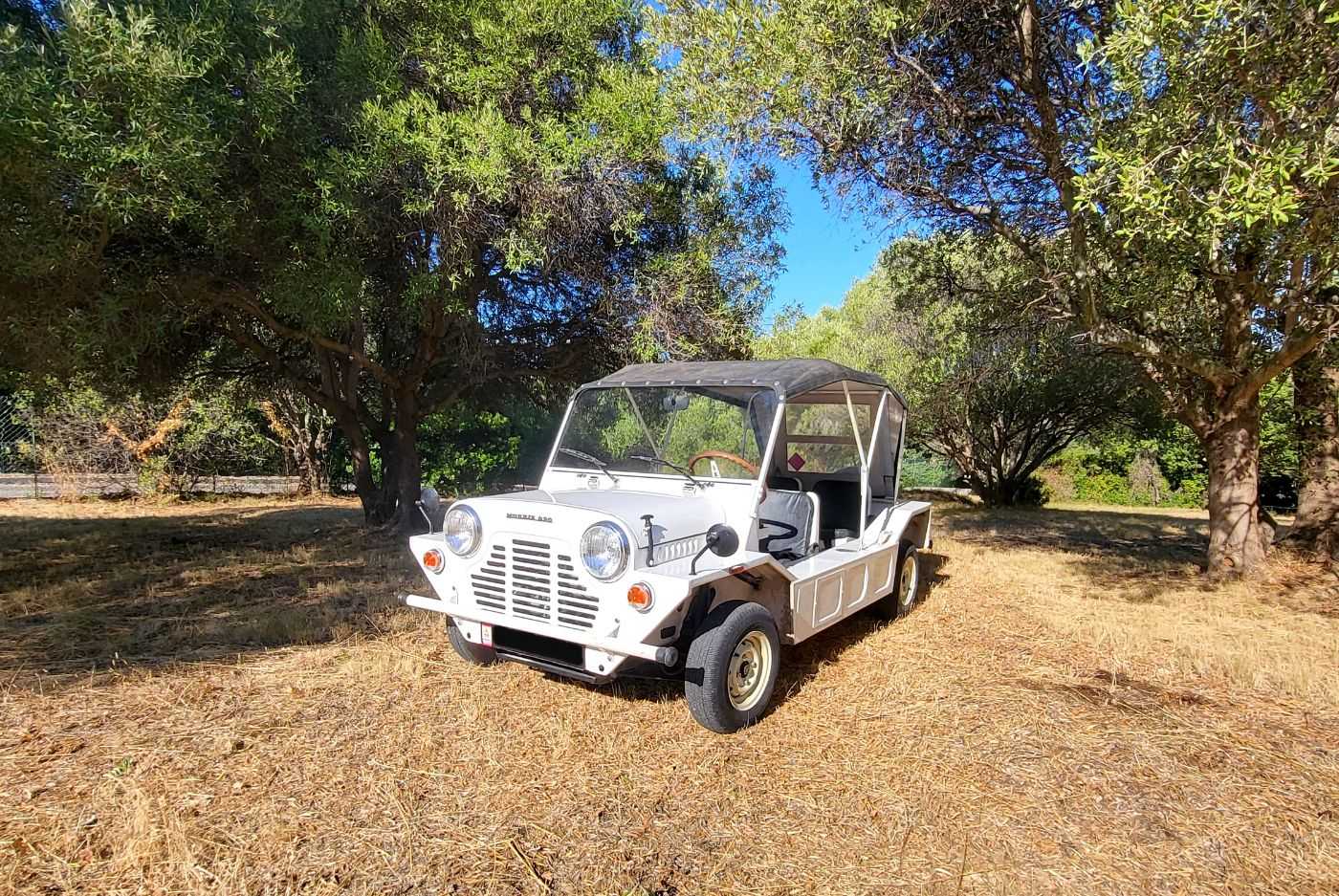 Austin Mini