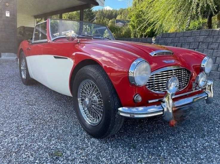 Austin Healey 100