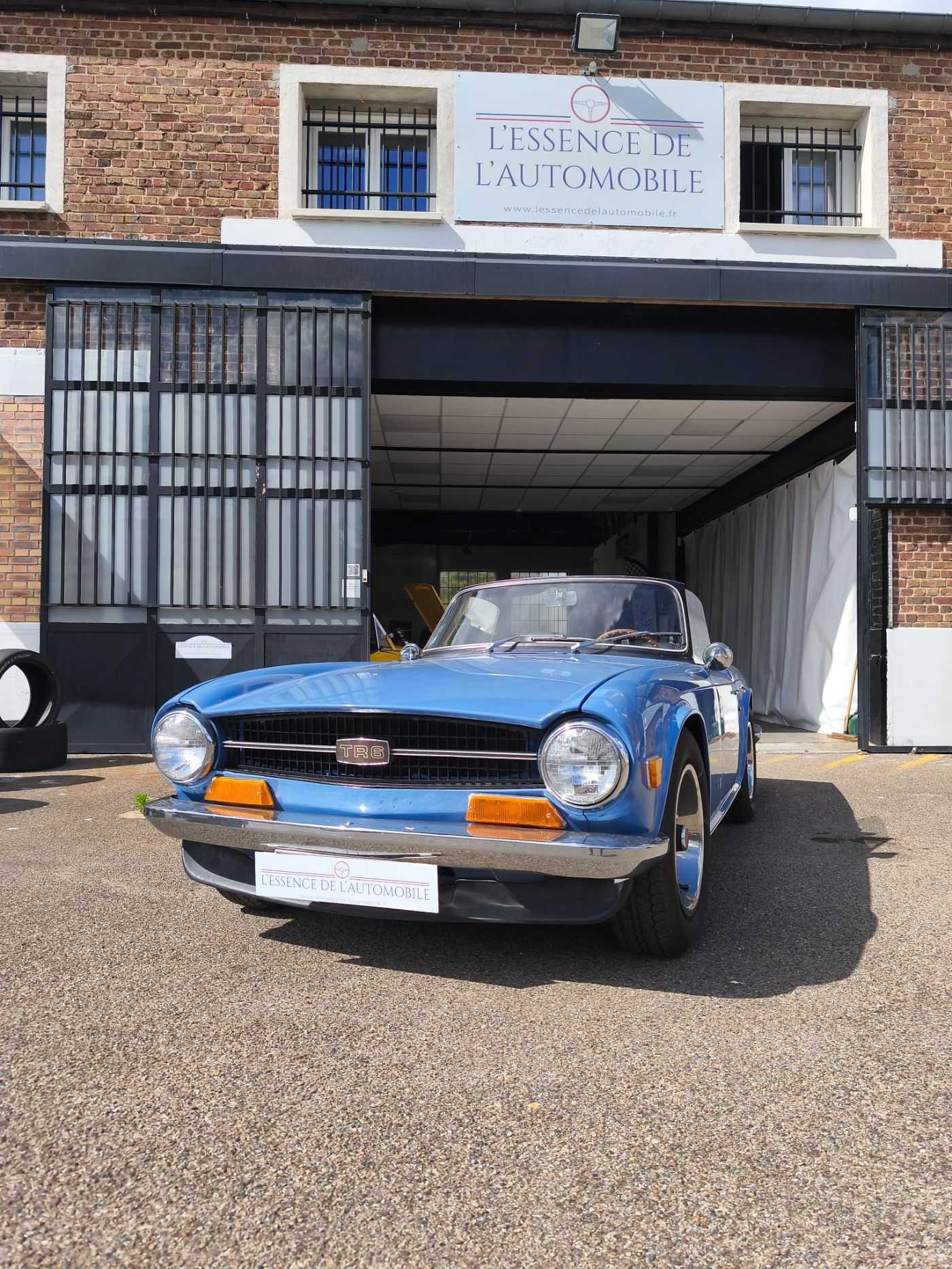 Triumph TR6