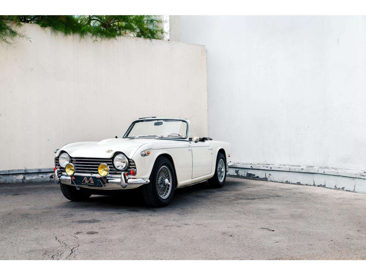 Triumph TR5