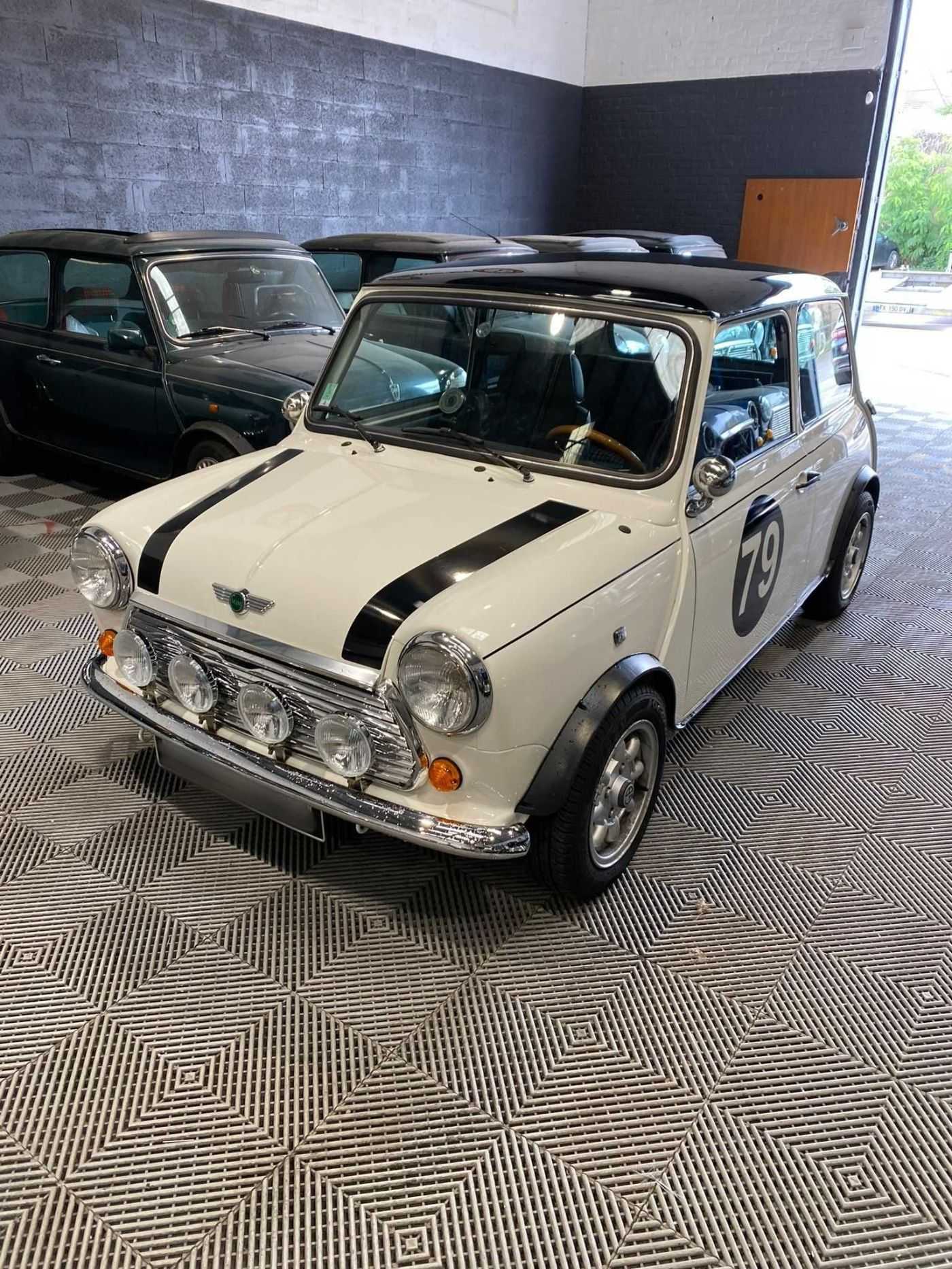 Mini 1000
