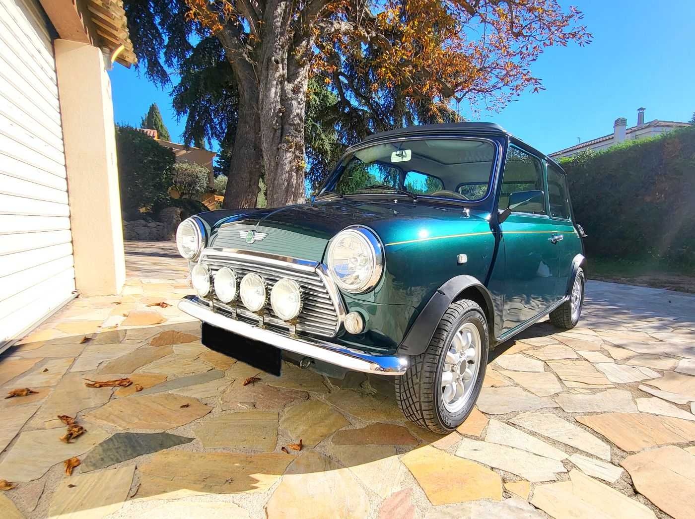 Rover Mini