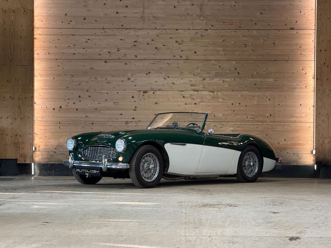 Austin Healey 100