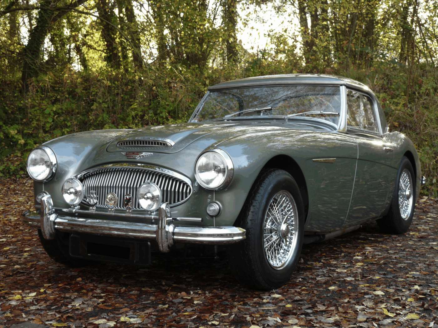 Austin Healey 3000