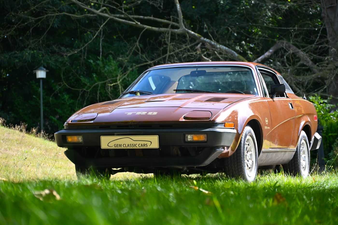 Triumph TR8