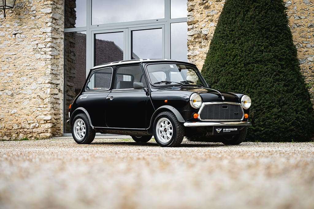 Mini 1000