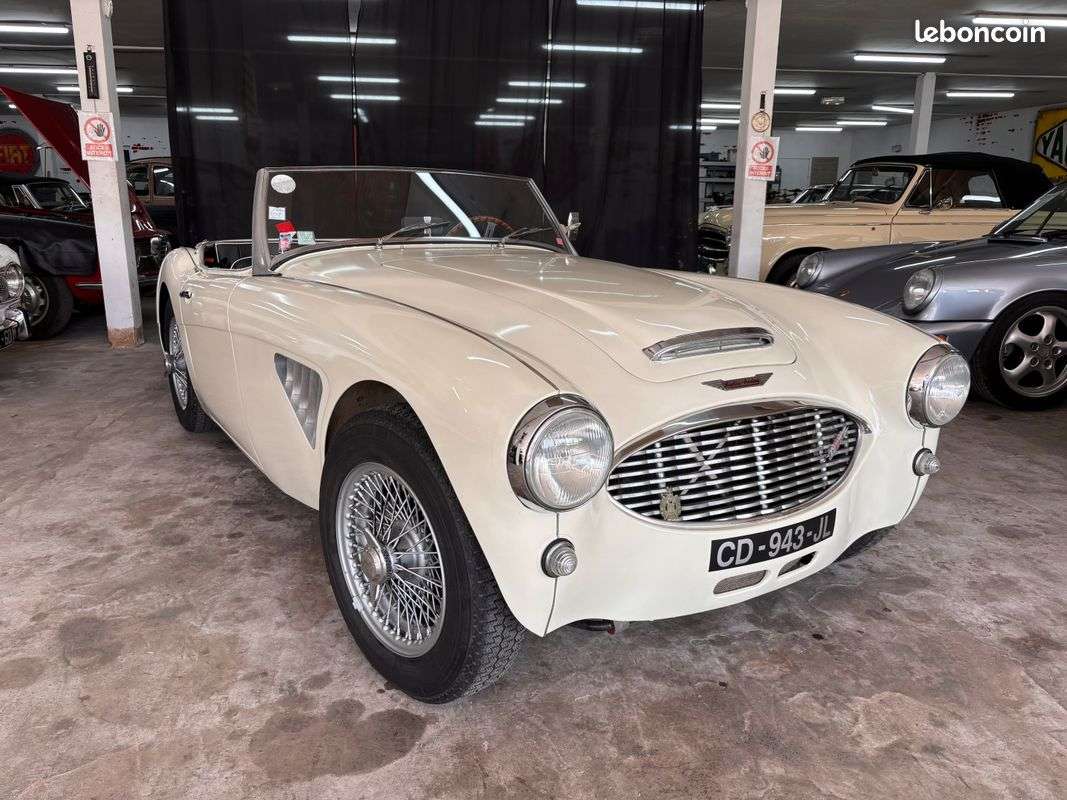 Austin Healey 3000