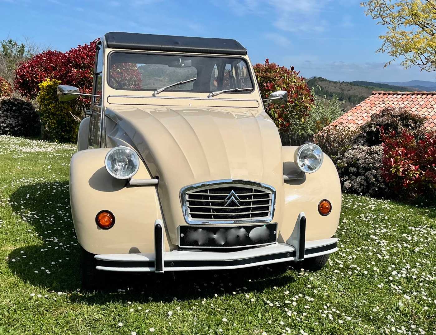 Citroen 2 CV