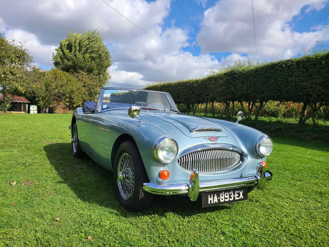 Austin Healey 3000