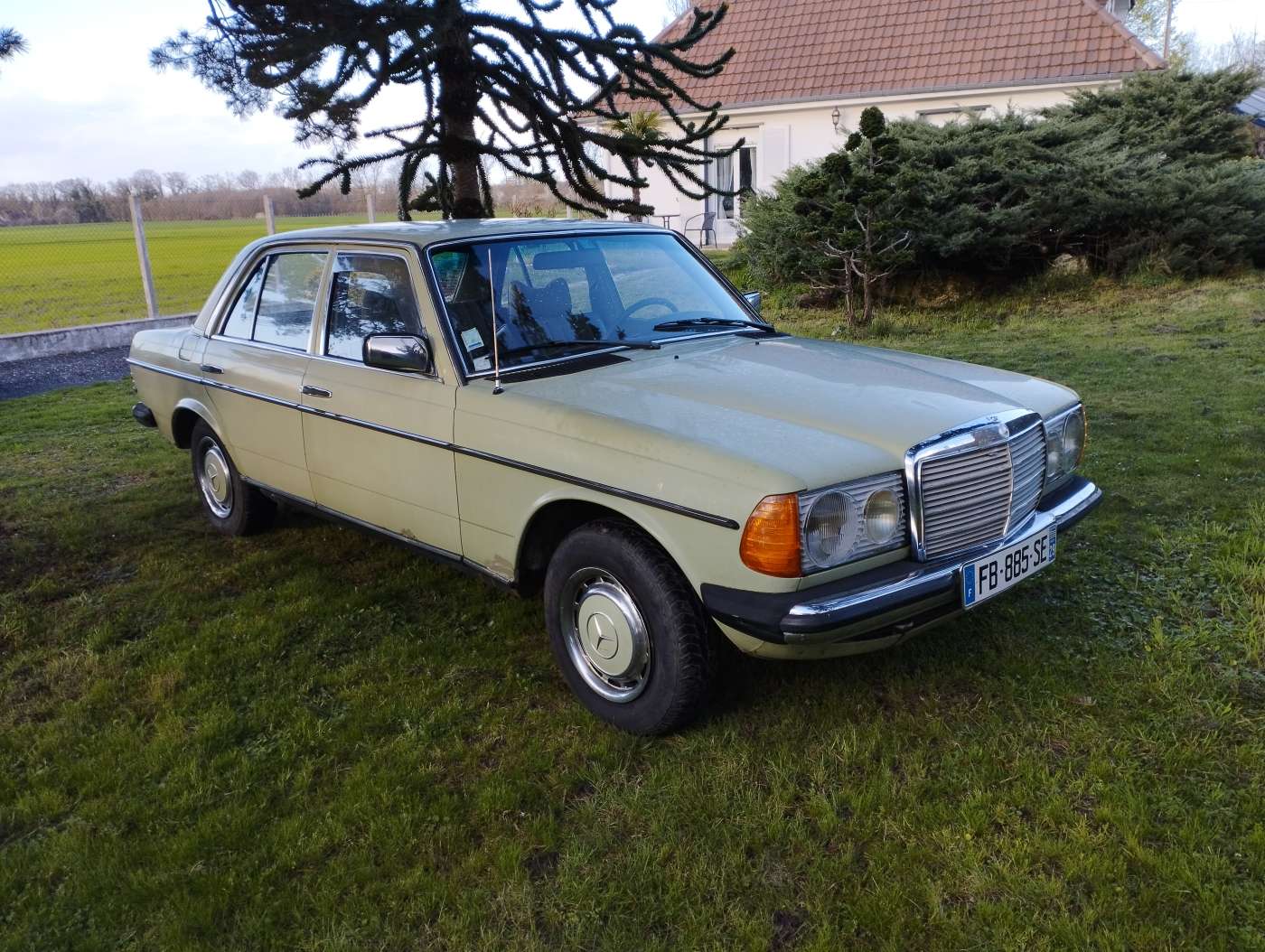 Mercedes-Benz 230