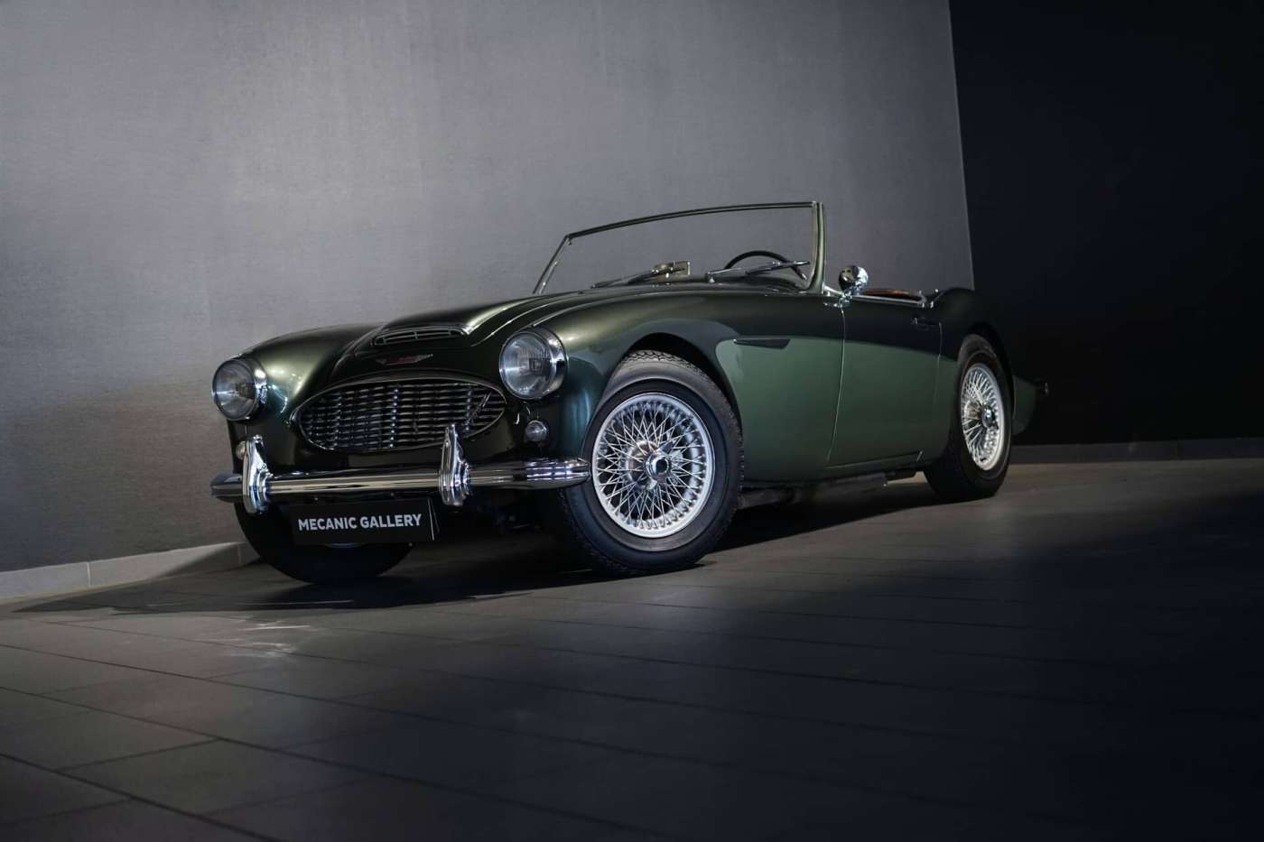 Austin Healey 100