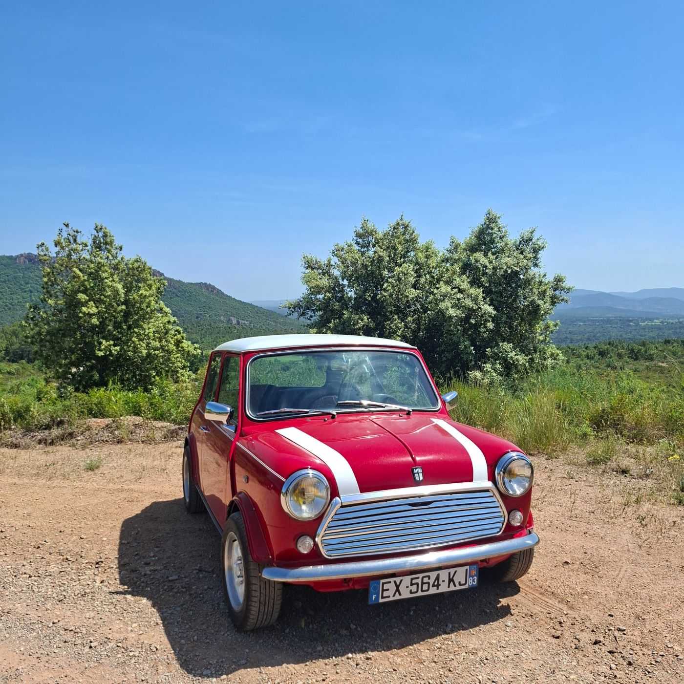 Mini Mayfair