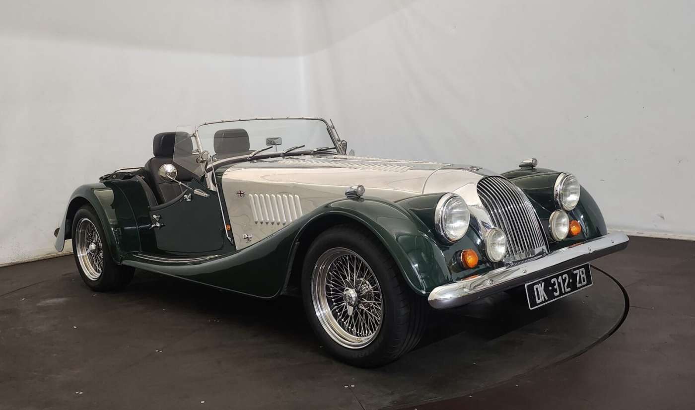 Morgan +8