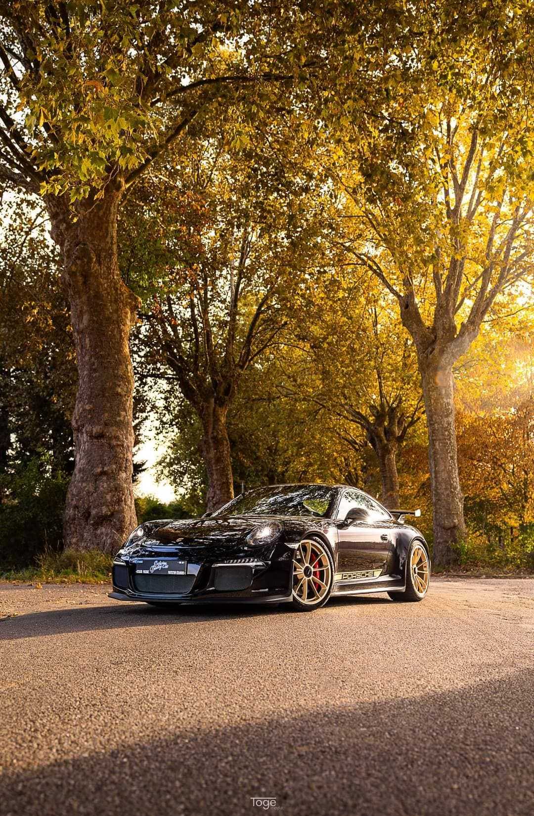 Porsche 991