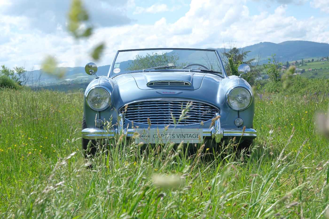 Austin Healey 100