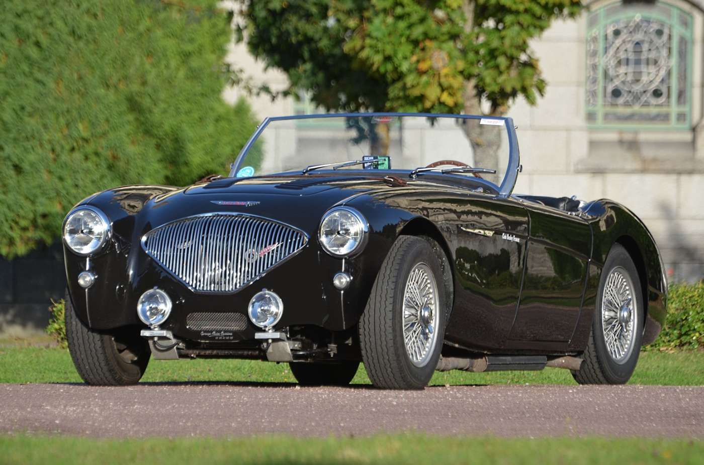 Austin Healey 100