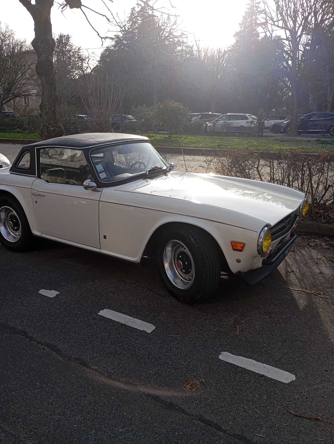 Triumph TR6