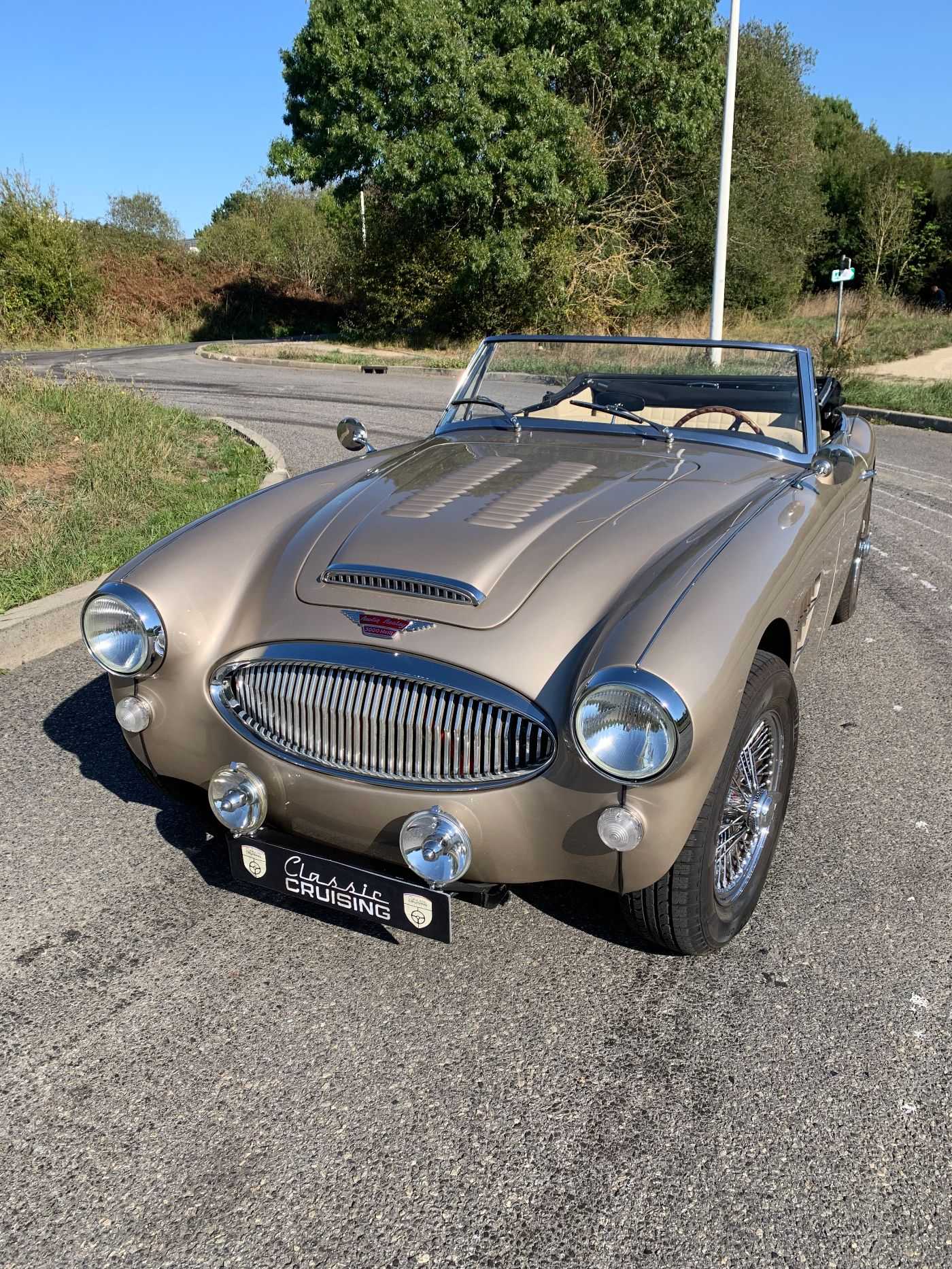 Austin Healey 3000