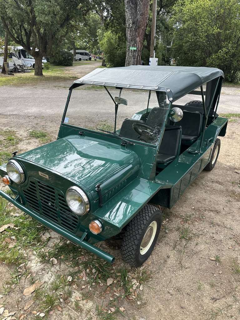 Mini moke Classic