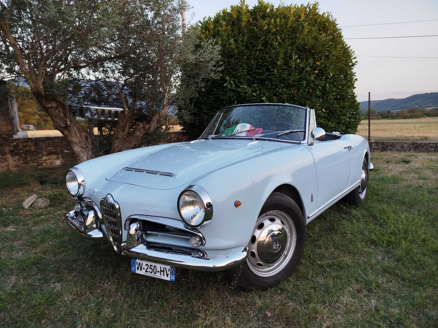 Alfa Roméo Giulia Spider