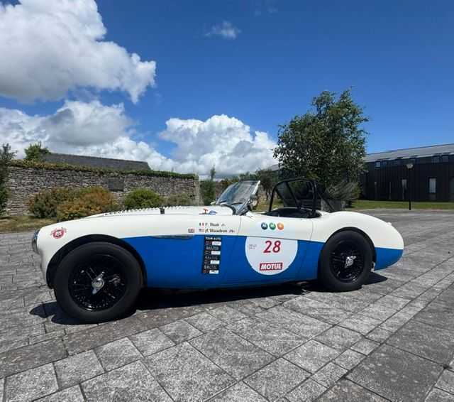 Austin Healey 100