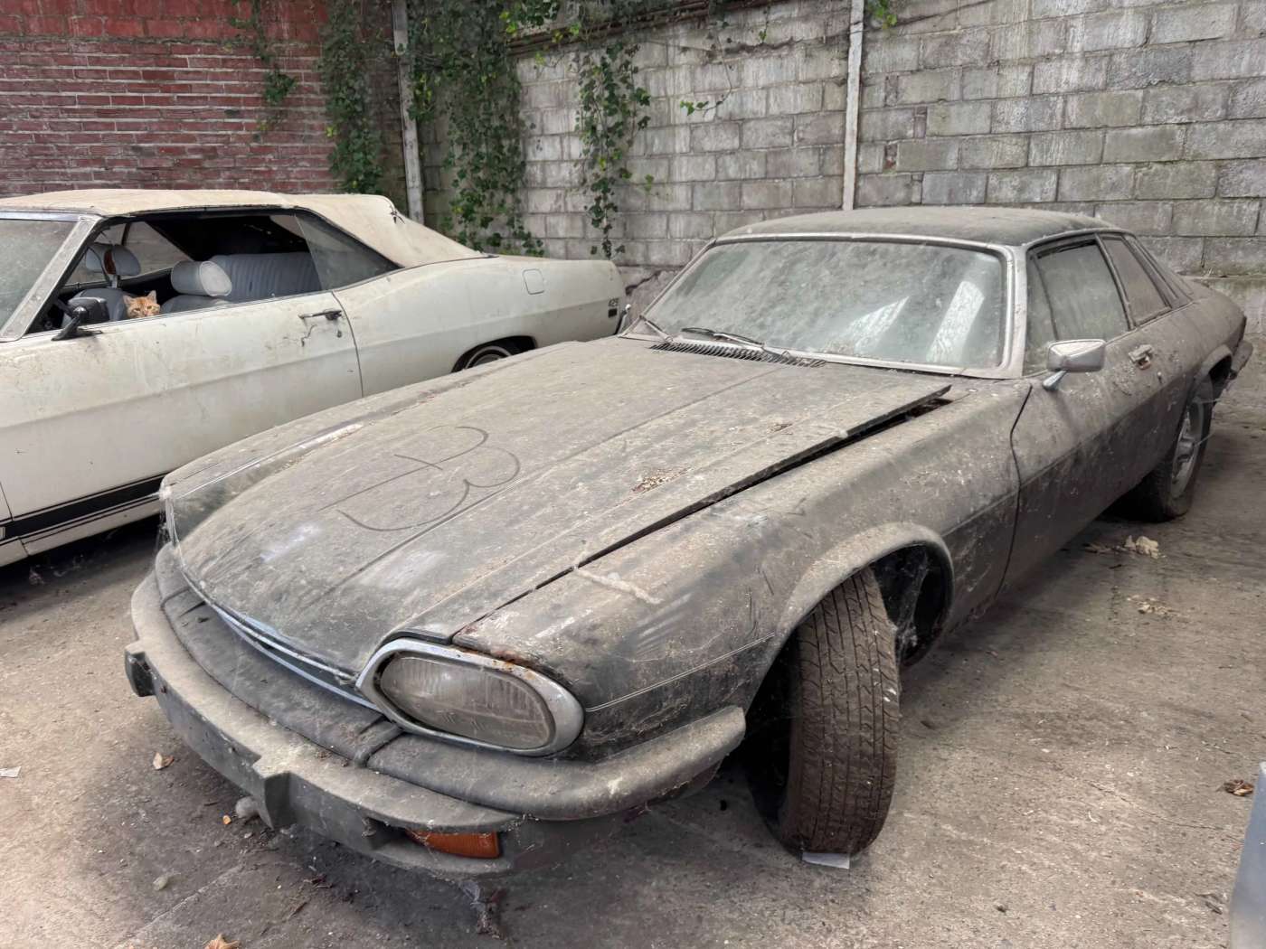 Jaguar XJS