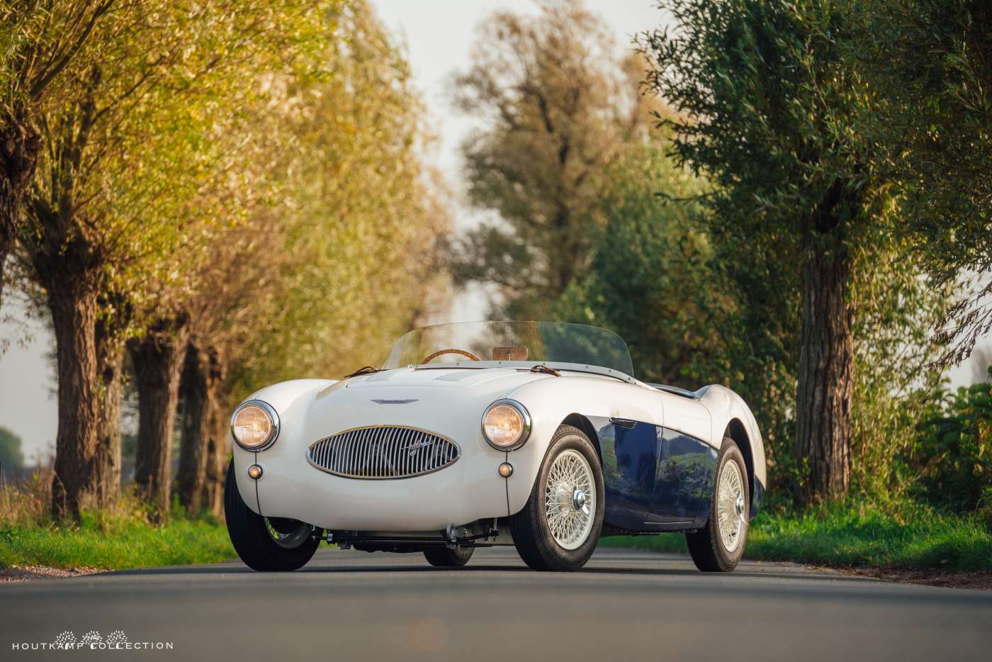 Austin Healey 100