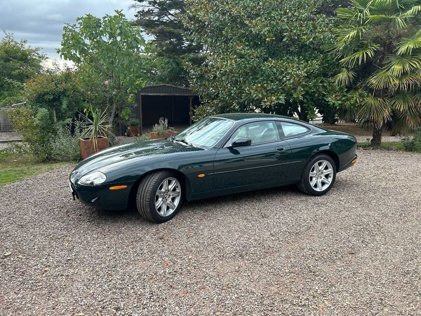 Jaguar XK8