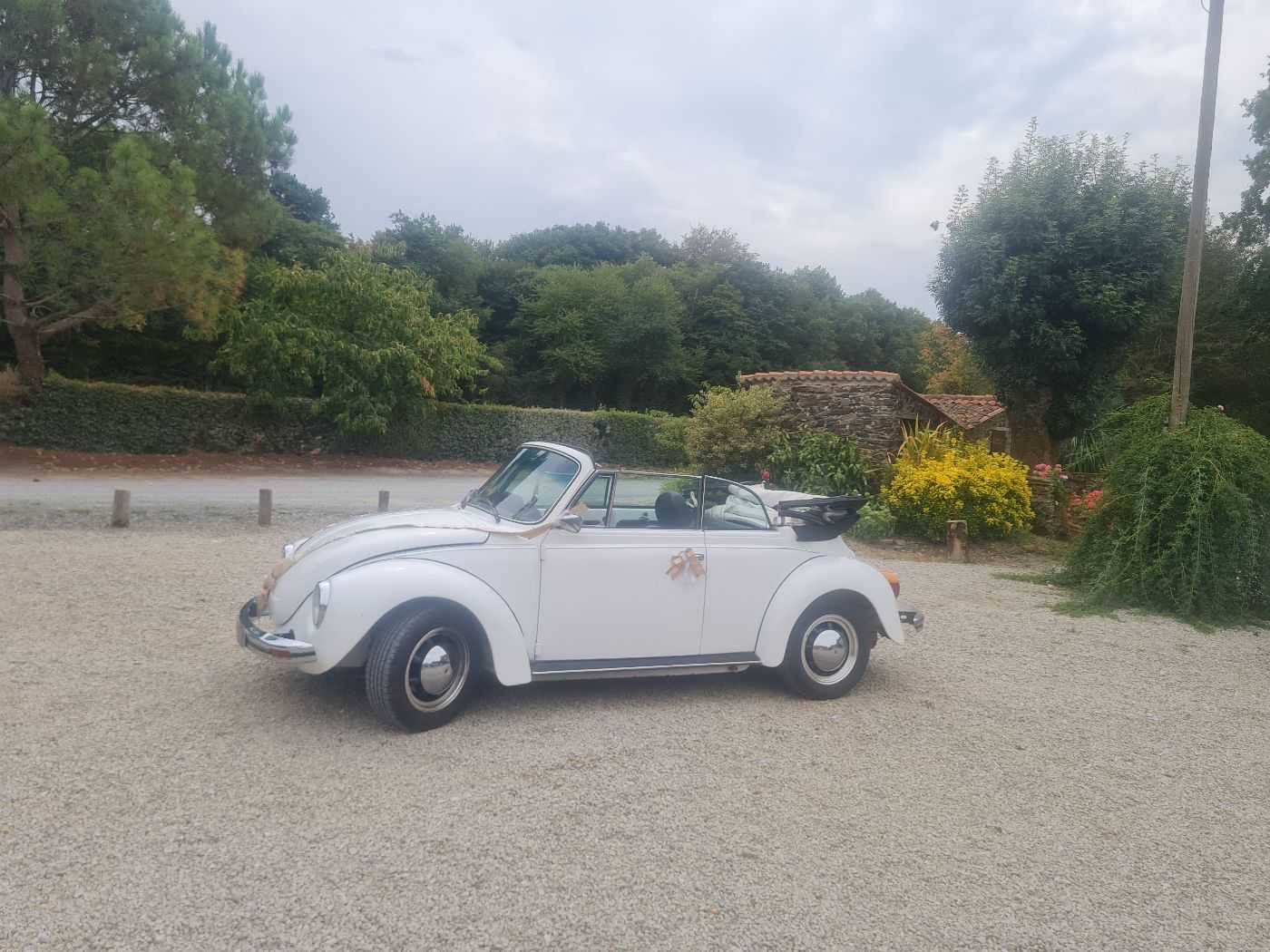 Volkswagen Coccinelle