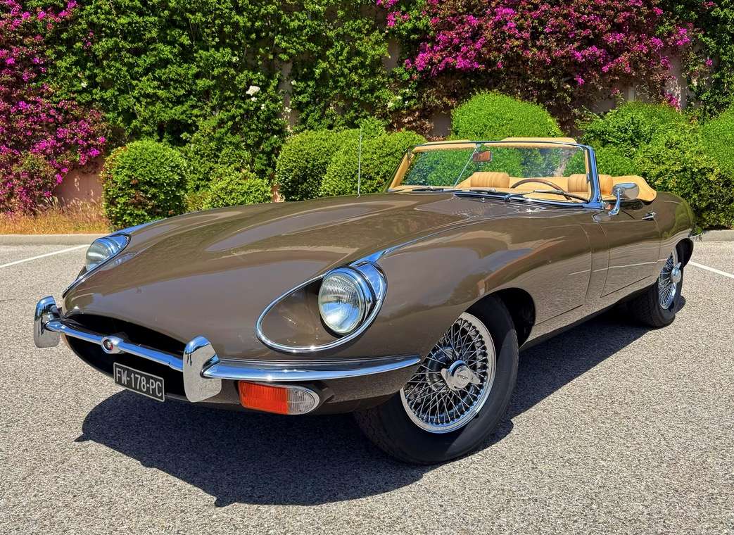 Jaguar Type E