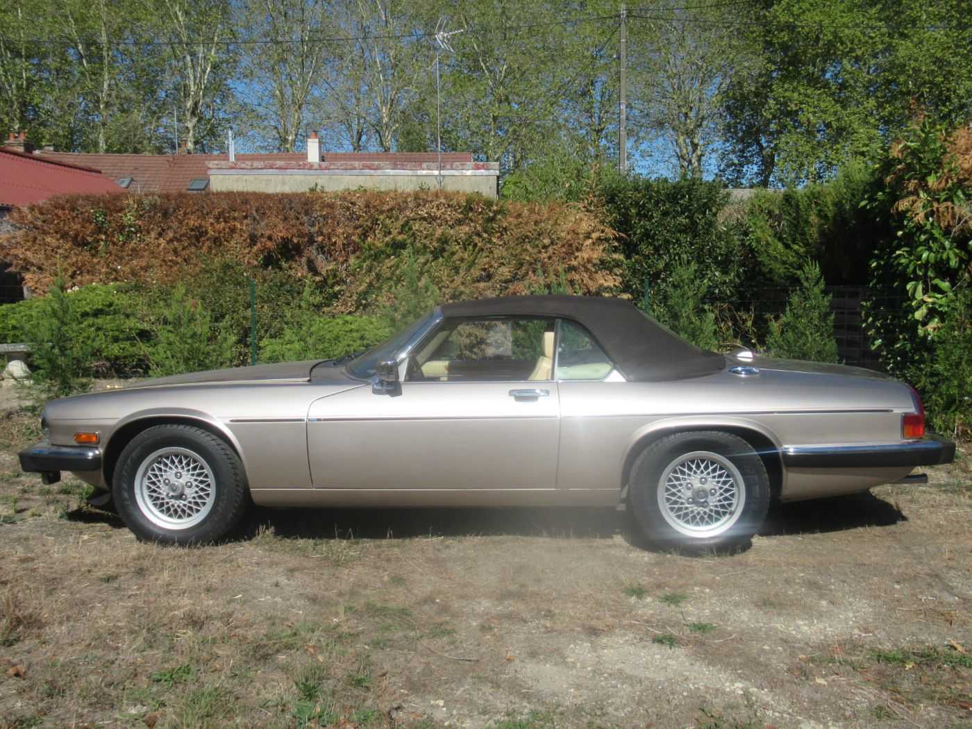 Jaguar XJS