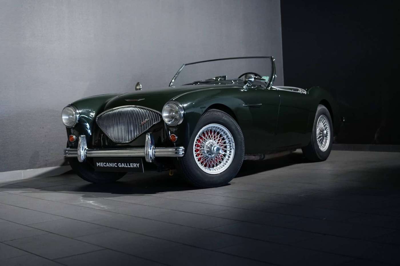 Austin Healey 100