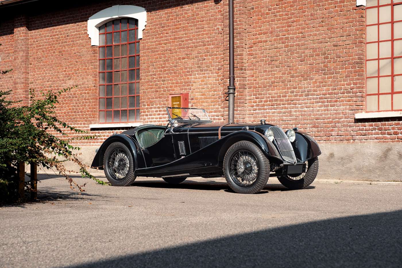 Riley Sprite